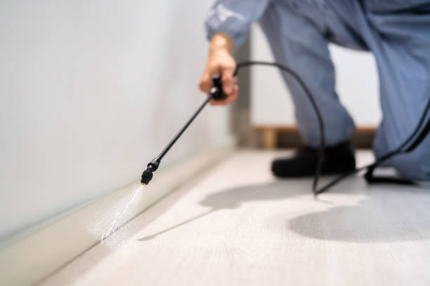 Licensed Cockroach Control service in St. Louis city County, MO - Nex Pest Control