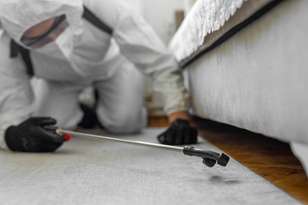 Professional Cockroach Control technician working in St. Louis city County, MO